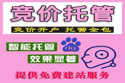 SEM广告投放案例：揭秘高转化率秘诀